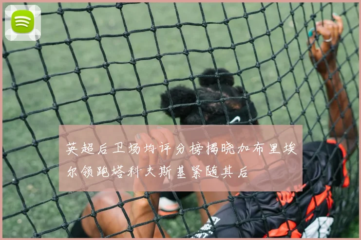 英超后卫场均评分榜揭晓加布里埃尔领跑塔科夫斯基紧随其后