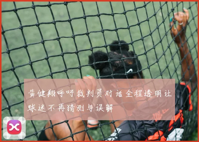 黄健翔呼吁裁判员对话全程透明让球迷不再猜测与误解